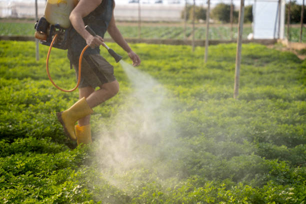 Pest Control Cost in Florence, MS