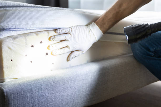 Best Affordable Pest Control Services  in Florence, MS