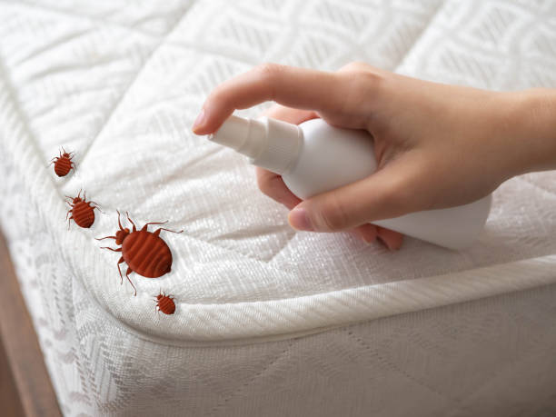 Best Pest Removal Services  in Florence, MS